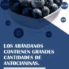 blueberry candy – caramelos de arándano